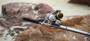 Best Saltwater Fishing Knots