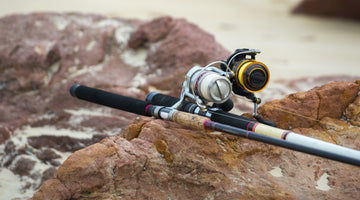 Best Saltwater Fishing Knots