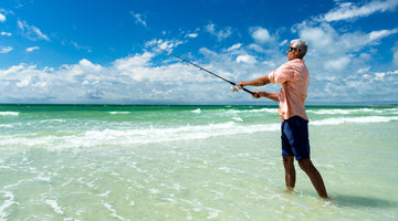 Spring Fishing in Tampa Bay