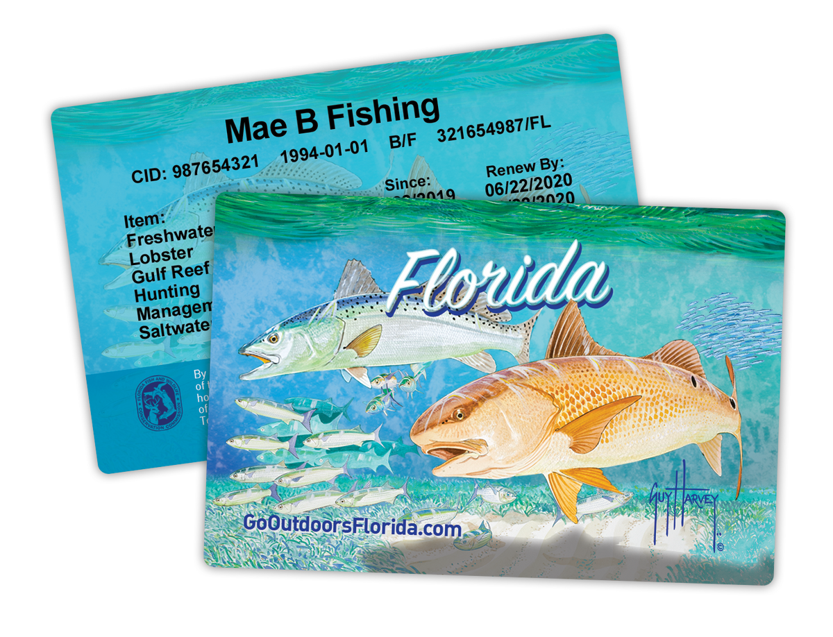 Why You Should Buy a Fishing License – Reef & Reel
