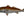 Load image into Gallery viewer, Mount This Fish Mount