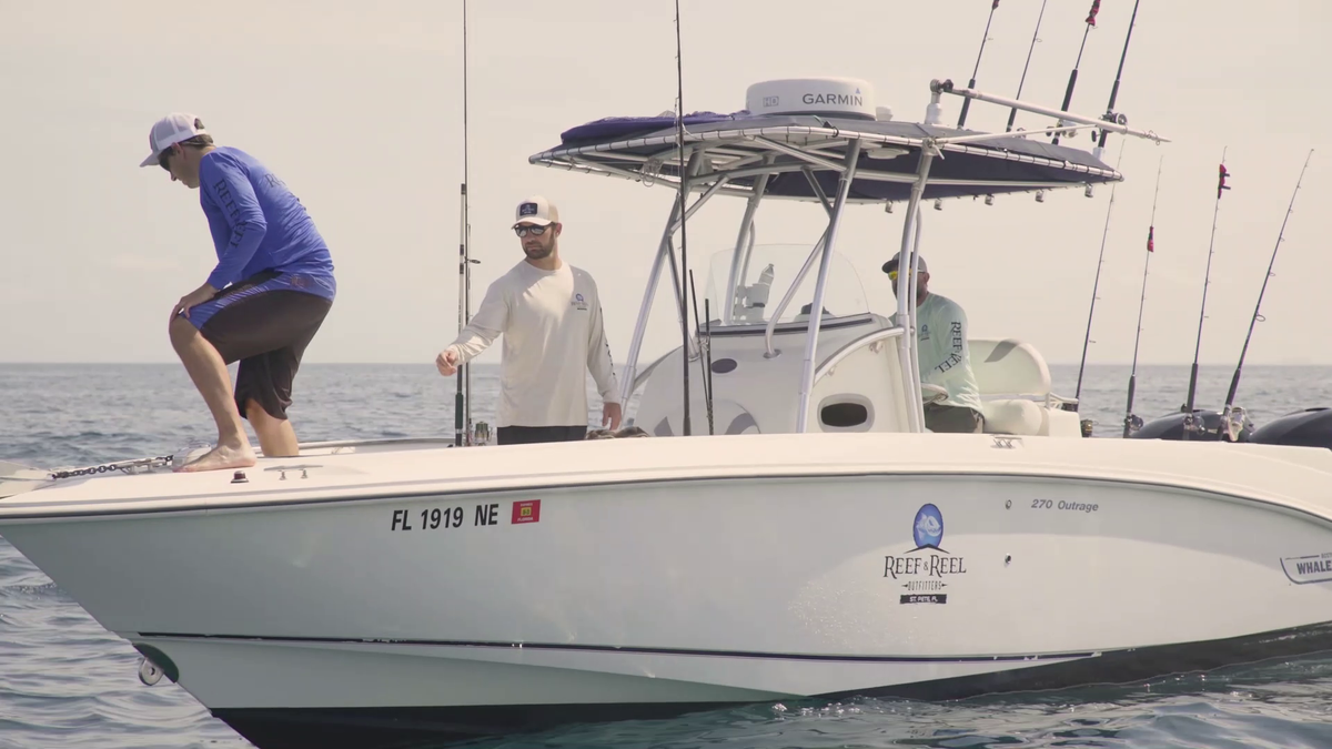 daiwa-beefstick-boat-rod - Main Image