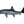 Load image into Gallery viewer, Mount This Fish Mount