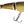 Load image into Gallery viewer, Mirrolure Jointed Swimbait Lures