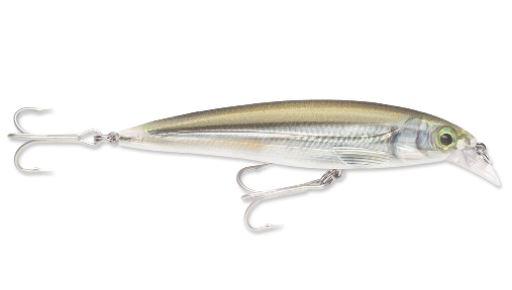 Rapala X-Rap Saltwater 10