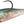 Load image into Gallery viewer, Storm WildEye Swim Shad 05