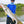 Load image into Gallery viewer, Snook catch