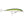 Load image into Gallery viewer, Rapala X-Rap Saltwater 10