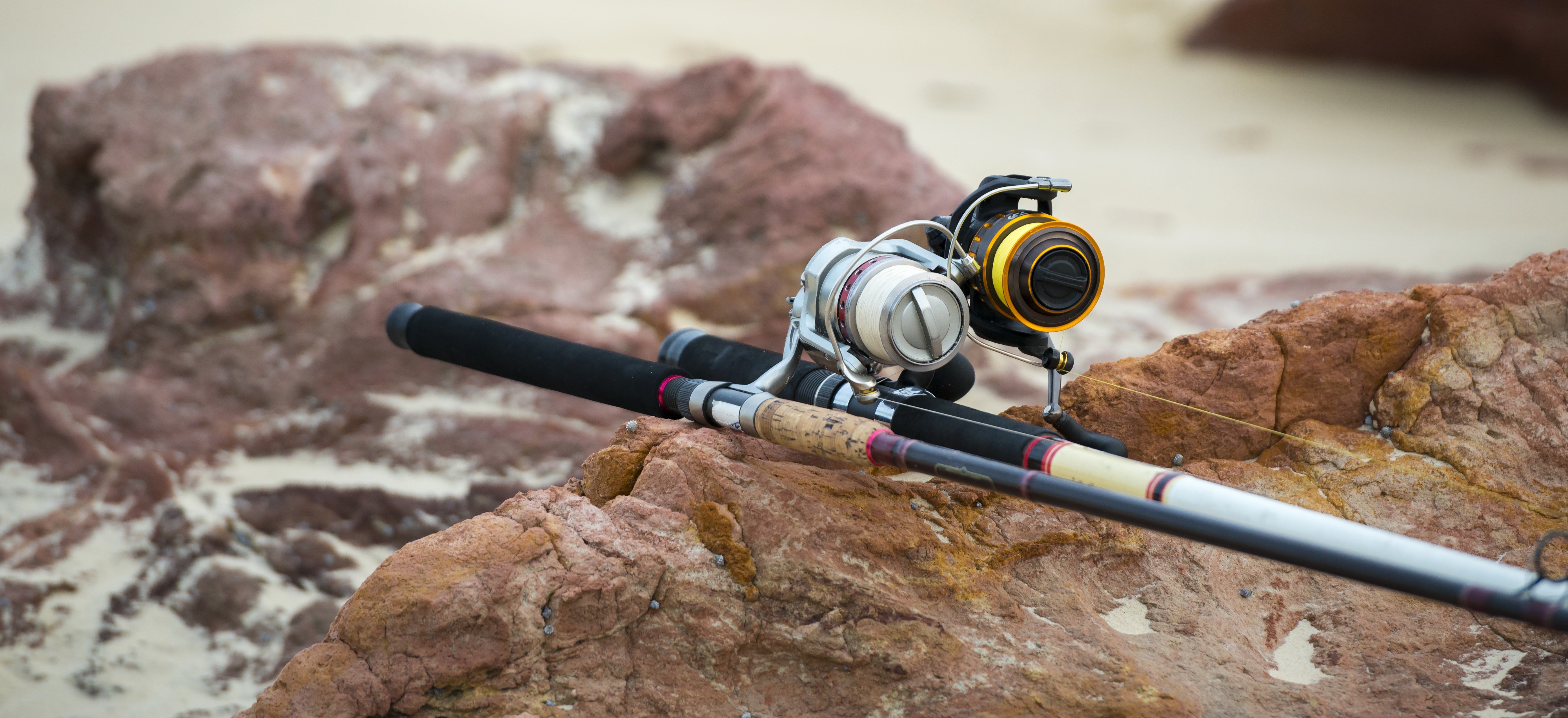 4 Best Saltwater Fishing Knots Reef & Reel 4 Best Saltwater Fishing Knots Reef & Reel