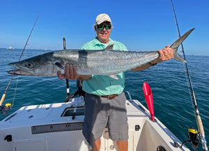 King Mackerel Fishing in the Gulf