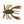 Load image into Gallery viewer, Berkley Gulp! Alive! Crabby
