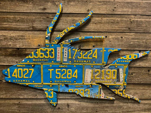 Fish License Plate Mounts - Bahamas Hogfish