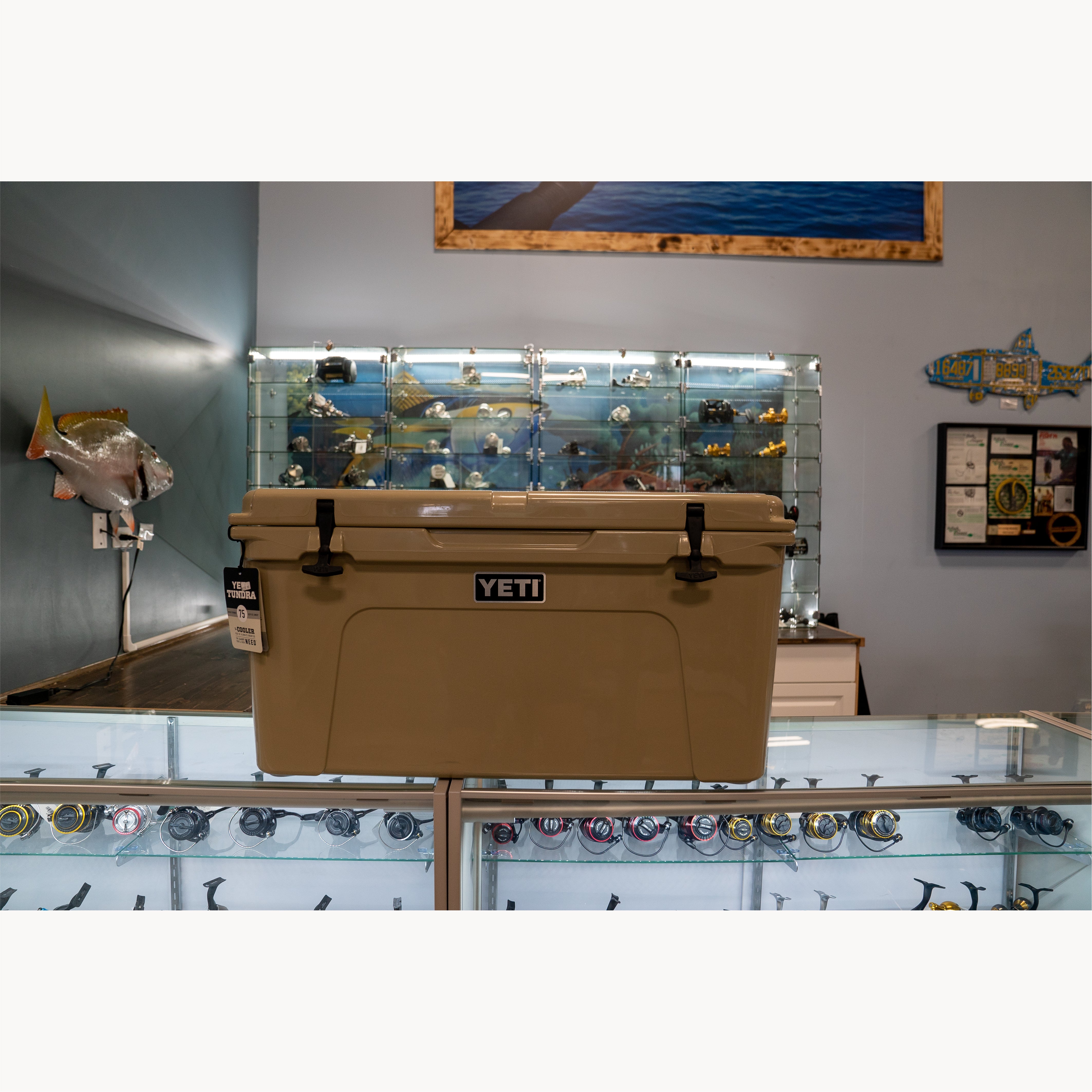 Yeti Tundra 75 Hard Cooler – Reef Reel