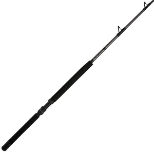 Fenwick Elite Inshore Spinning Rod