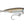 Load image into Gallery viewer, Rapala X-Rap Saltwater SubWalk 09
