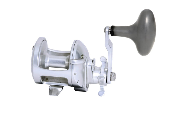 accurate twin spin fishing reels Accurate TXD-300X Tern 2 Star Drag Reel