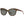 Load image into Gallery viewer, Costa del Mar Bimini Sunglasses
