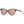 Load image into Gallery viewer, Costa del Mar Isla Sunglasses in Shiny Tortoiseshell and Copper-Silver Mirror 580g lenses
